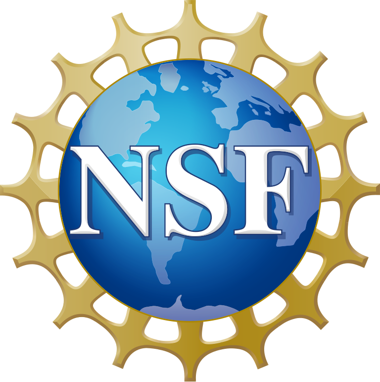 NSF logo